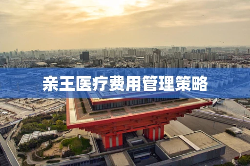 亲王医疗费用管理策略