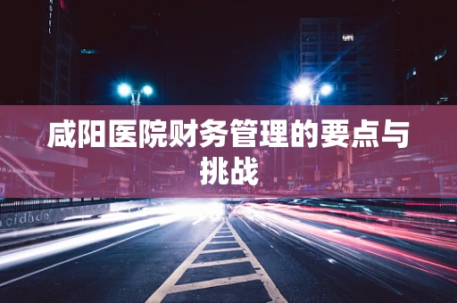咸阳医院财务管理的要点与挑战