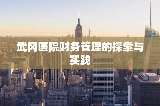 武冈医院财务管理的探索与实践