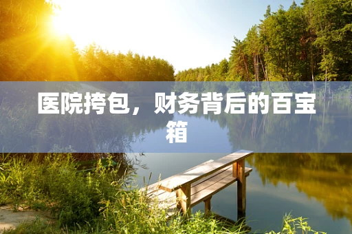 医院挎包，财务背后的百宝箱