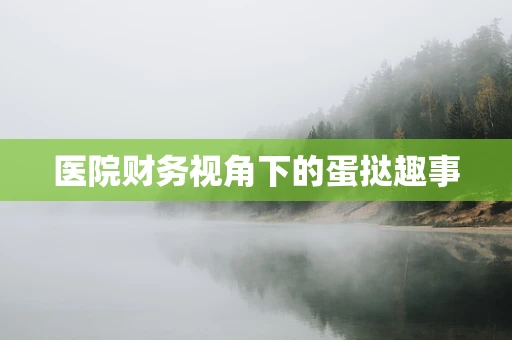 医院财务视角下的蛋挞趣事