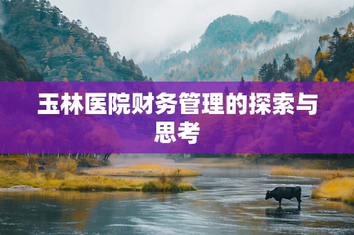 玉林医院财务管理的探索与思考