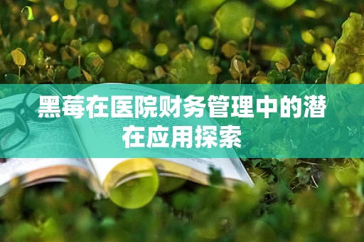 黑莓在医院财务管理中的潜在应用探索