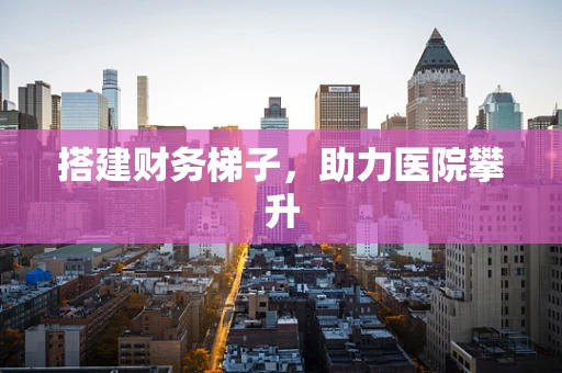 搭建财务梯子，助力医院攀升