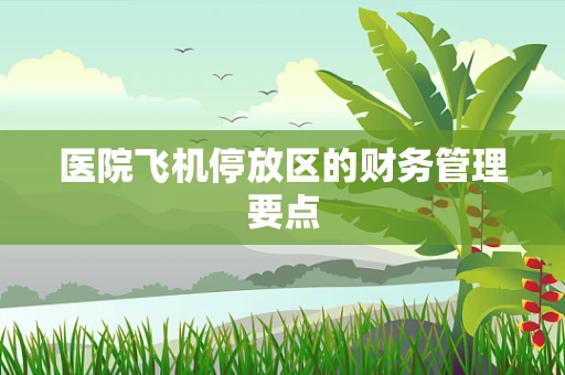 医院飞机停放区的财务管理要点