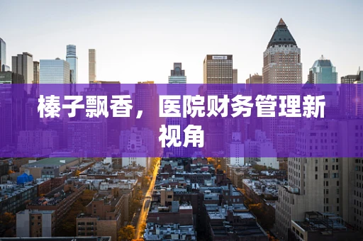 榛子飘香，医院财务管理新视角
