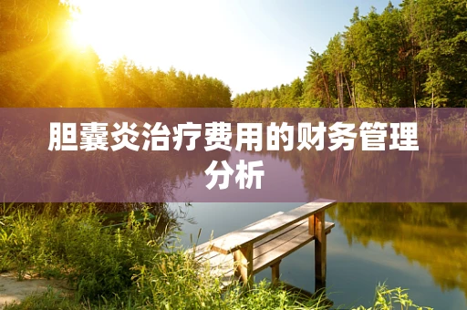 胆囊炎治疗费用的财务管理分析