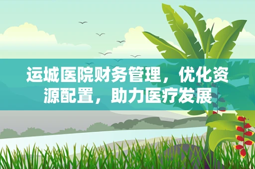运城医院财务管理，优化资源配置，助力医疗发展