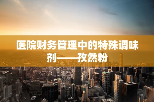 医院财务管理中的特殊调味剂——孜然粉