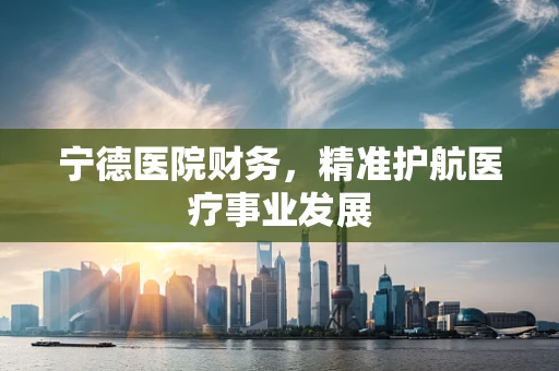 宁德医院财务，精准护航医疗事业发展
