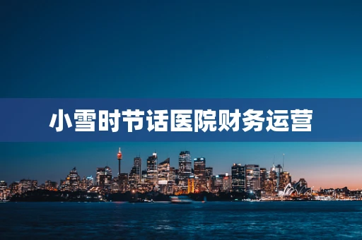 小雪时节话医院财务运营