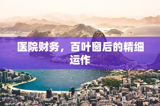 医院财务，百叶窗后的精细运作