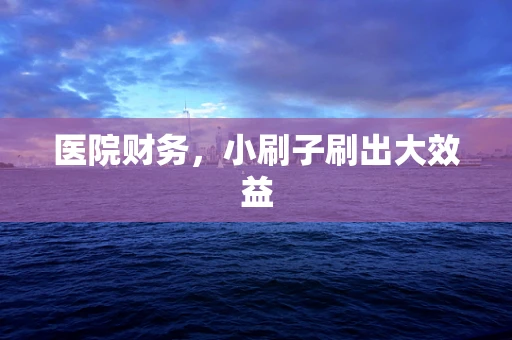 医院财务，小刷子刷出大效益