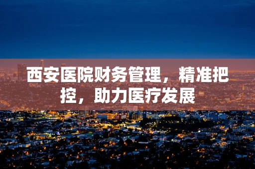 西安医院财务管理，精准把控，助力医疗发展