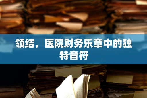 领结，医院财务乐章中的独特音符