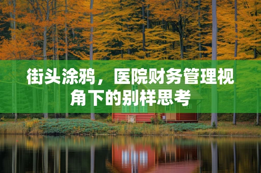 街头涂鸦，医院财务管理视角下的别样思考