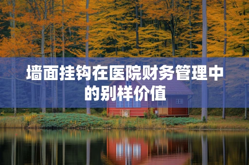 墙面挂钩在医院财务管理中的别样价值