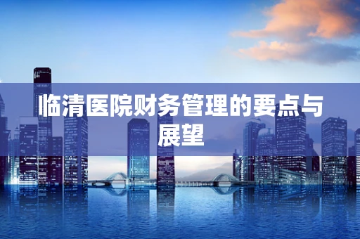 临清医院财务管理的要点与展望