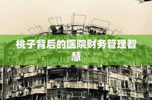 桃子背后的医院财务管理智慧