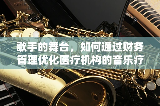 歌手的舞台，如何通过财务管理优化医疗机构的音乐疗愈项目？