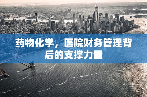 药物化学，医院财务管理背后的支撑力量