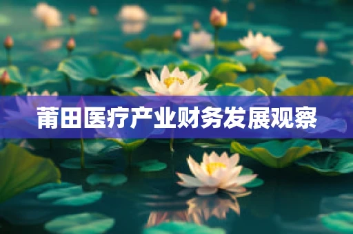 莆田医疗产业财务发展观察