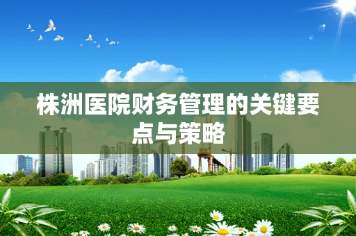 株洲医院财务管理的关键要点与策略