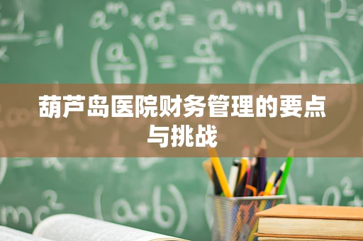 葫芦岛医院财务管理的要点与挑战