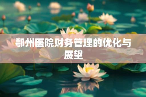鄂州医院财务管理的优化与展望