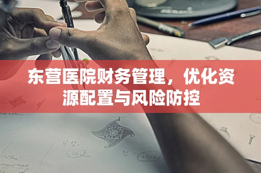 东营医院财务管理，优化资源配置与风险防控