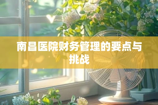 南昌医院财务管理的要点与挑战