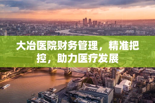 大冶医院财务管理，精准把控，助力医疗发展