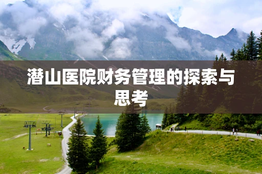 潜山医院财务管理的探索与思考