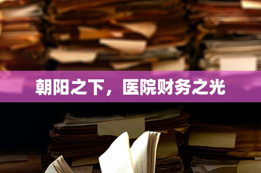 朝阳之下，医院财务之光