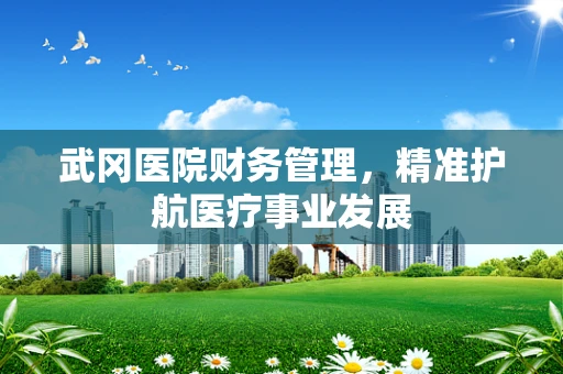武冈医院财务管理，精准护航医疗事业发展