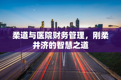 柔道与医院财务管理，刚柔并济的智慧之道