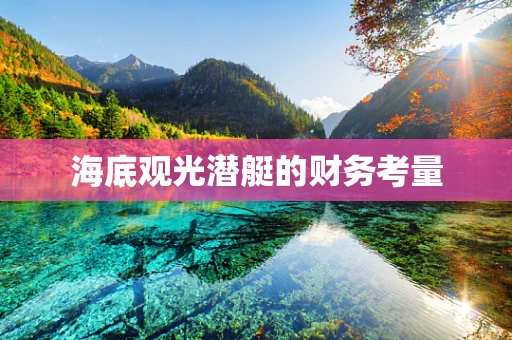 海底观光潜艇的财务考量
