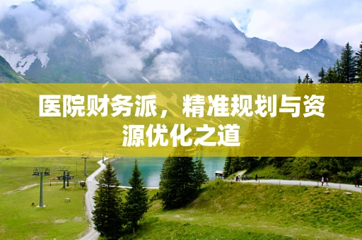 医院财务派，精准规划与资源优化之道