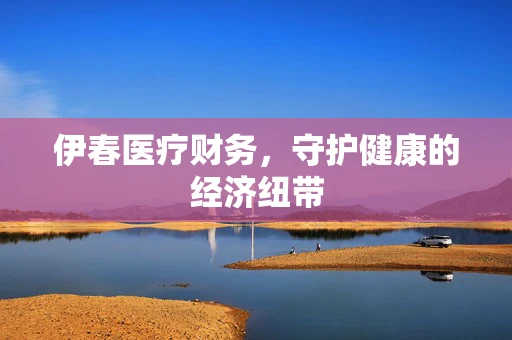 伊春医疗财务，守护健康的经济纽带