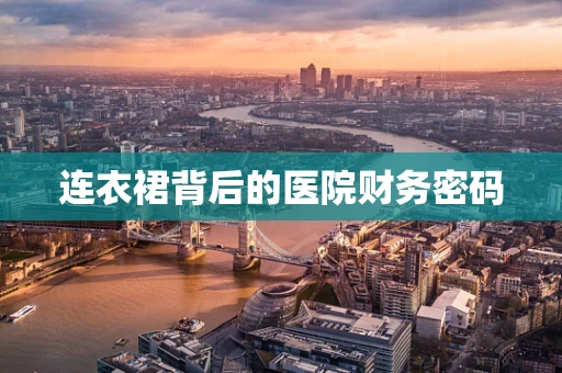 连衣裙背后的医院财务密码