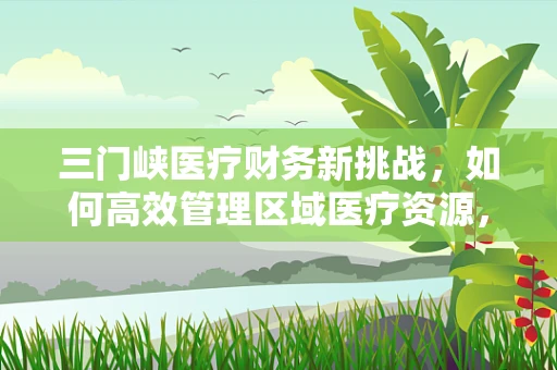 三门峡医疗财务新挑战，如何高效管理区域医疗资源，实现成本控制与服务质量双赢？