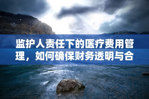监护人责任下的医疗费用管理，如何确保财务透明与合规？