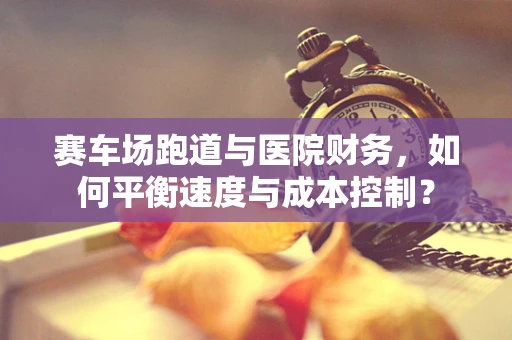 赛车场跑道与医院财务，如何平衡速度与成本控制？