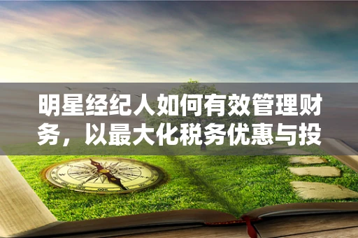 明星经纪人如何有效管理财务，以最大化税务优惠与投资回报？