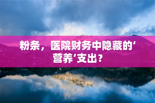 粉条，医院财务中隐藏的‘营养’支出？