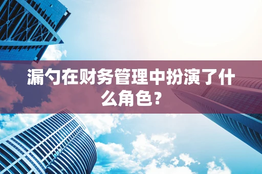 漏勺在财务管理中扮演了什么角色？