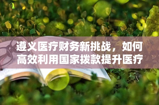 遵义医疗财务新挑战，如何高效利用国家拨款提升医疗服务质量？