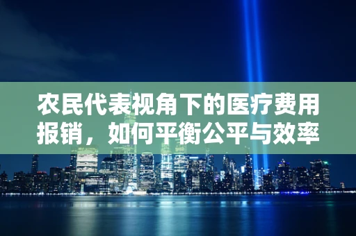 农民代表视角下的医疗费用报销，如何平衡公平与效率？