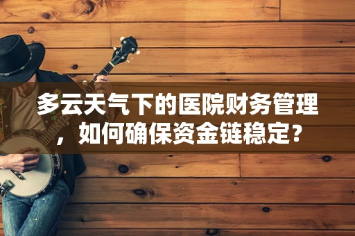 多云天气下的医院财务管理，如何确保资金链稳定？