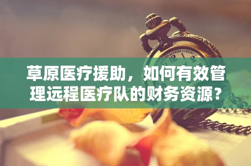 草原医疗援助，如何有效管理远程医疗队的财务资源？